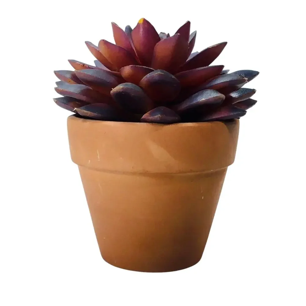 Artificial succulent in a pot